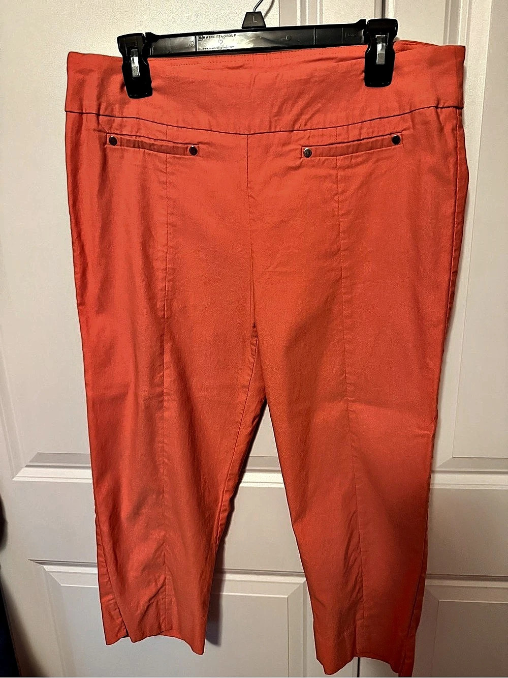 Ankle-Cropped Pants in Orange Size 14